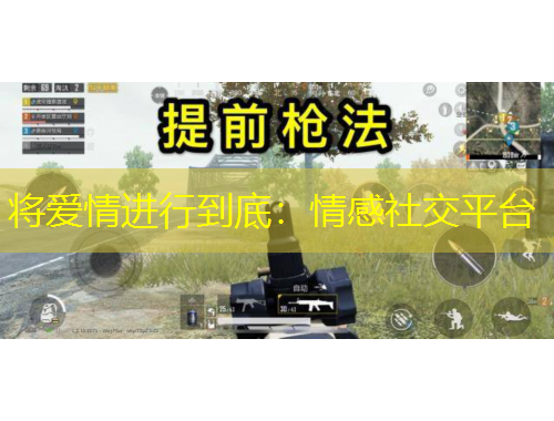 将爱情进行到底：情感社交平台