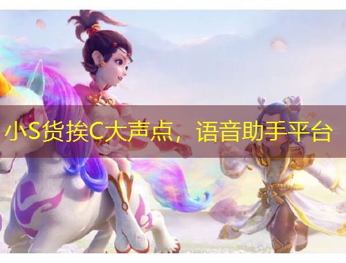 小S货挨C大声点，语音助手平台