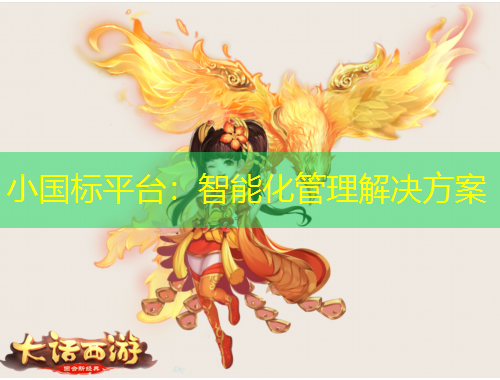 小国标平台：智能化管理解决方案