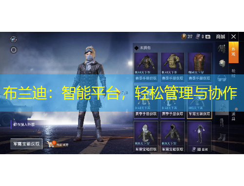 布兰迪：智能平台，轻松管理与协作