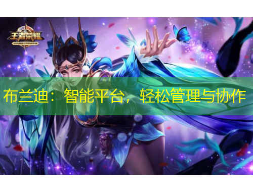 布兰迪：智能平台，轻松管理与协作