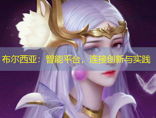 布尔西亚：智能平台，连接创新与实践