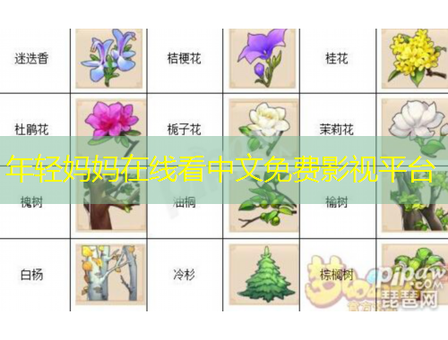 年轻妈妈在线看中文免费影视平台