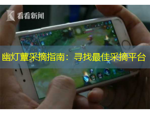 幽灯蕈采摘指南：寻找最佳采摘平台