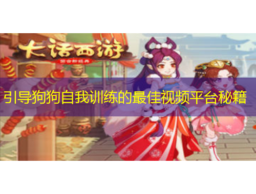 引导狗狗自我训练的最佳视频平台秘籍