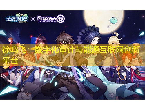 徐鸣飞：数字化审计与能源互联网创新平台
