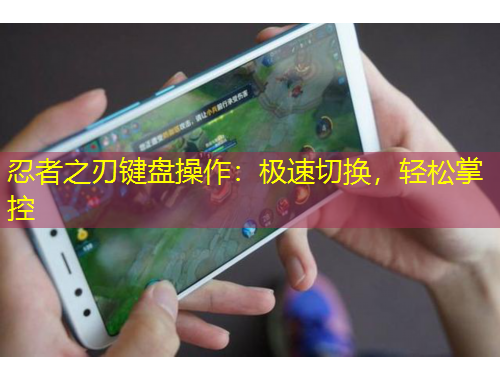 忍者之刃键盘操作：极速切换，轻松掌控