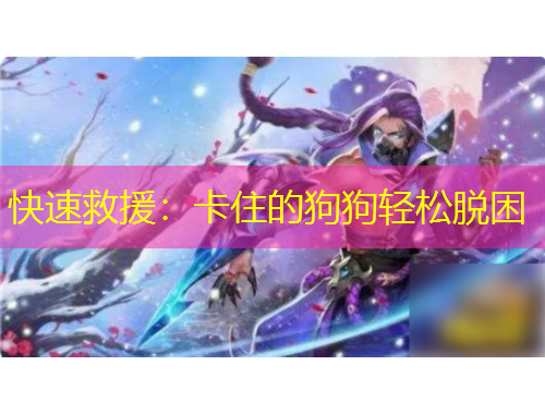 快速救援：卡住的狗狗轻松脱困