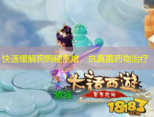 快速缓解狗狗硬疙瘩，抗真菌药物治疗