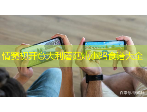 情窦初开意大利蘑菇炖小鸡食谱大全