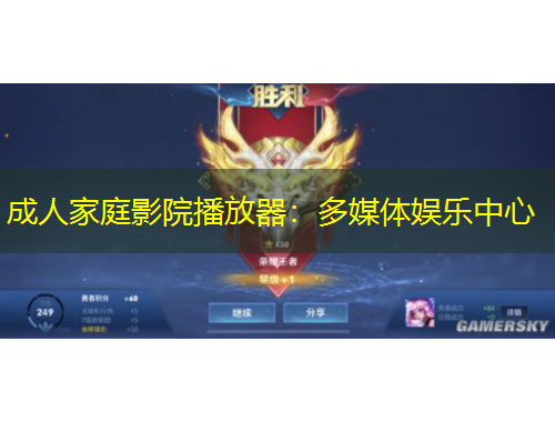 成人家庭影院播放器：多媒体娱乐中心