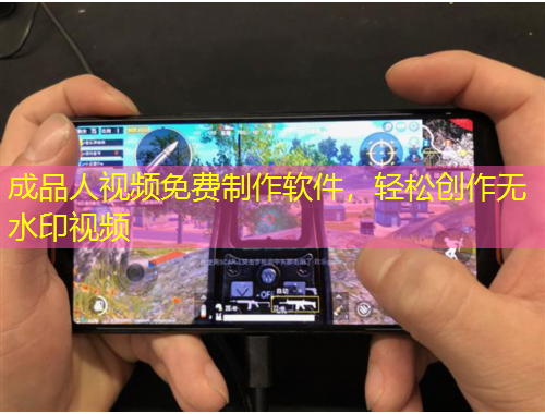 成品人视频免费制作软件，轻松创作无水印视频