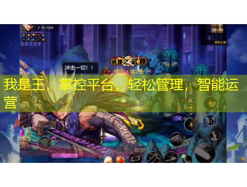 我是王，掌控平台，轻松管理，智能运营