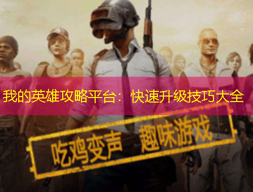 我的英雄攻略平台：快速升级技巧大全
