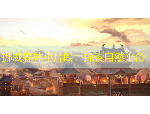 挪威森林小片段：探索自然平台