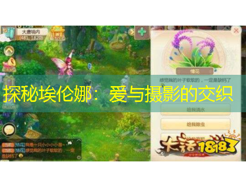 探秘埃伦娜：爱与摄影的交织