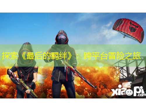 探索《最后的羁绊》：跨平台冒险之旅