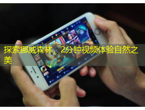 探索挪威森林，2分钟视频体验自然之美