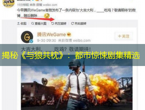 揭秘《与狼共枕》：都市惊悚剧集精选