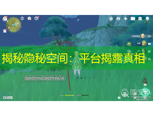 揭秘隐秘空间：平台揭露真相