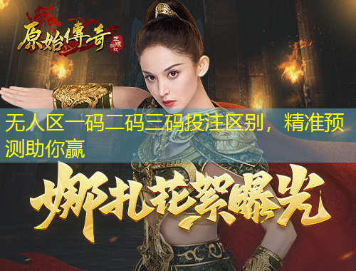 无人区一码二码三码投注区别，精准预测助你赢