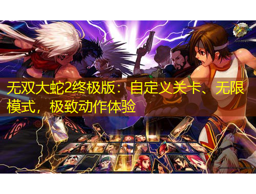 无双大蛇2终极版:自定义关卡、无限模式,极致动作体验