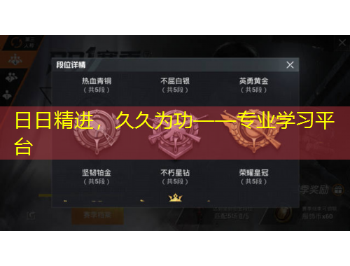日日精进，久久为功——专业学习平台