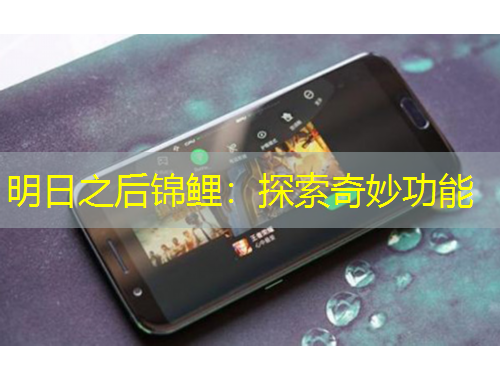 明日之后锦鲤：探索奇妙功能