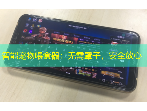智能宠物喂食器：无需罩子，安全放心