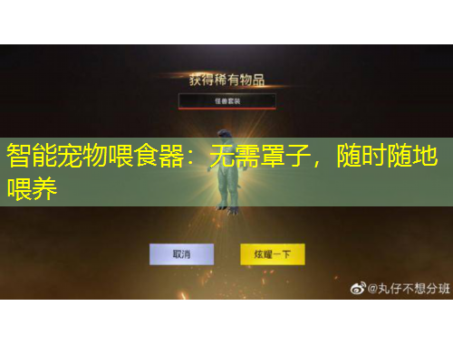智能宠物喂食器：无需罩子，随时随地喂养
