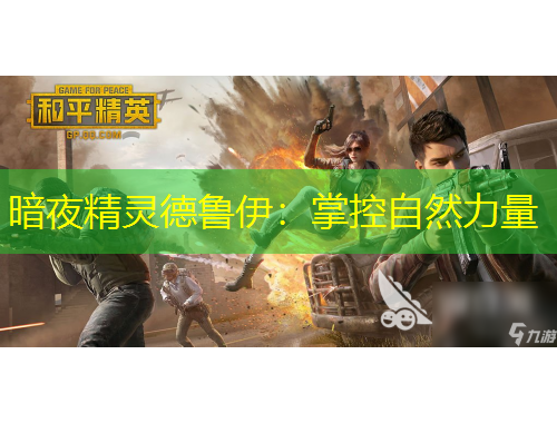 暗夜精灵德鲁伊：掌控自然力量