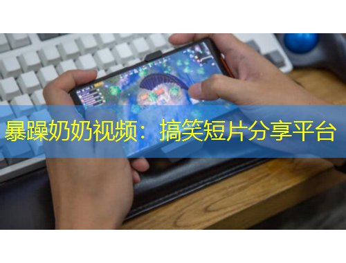 暴躁奶奶视频：搞笑短片分享平台