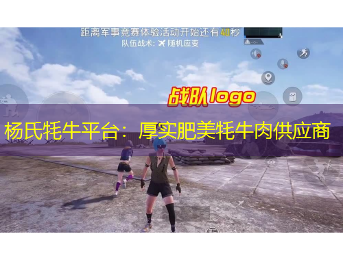 杨氏牦牛平台：厚实肥美牦牛肉供应商