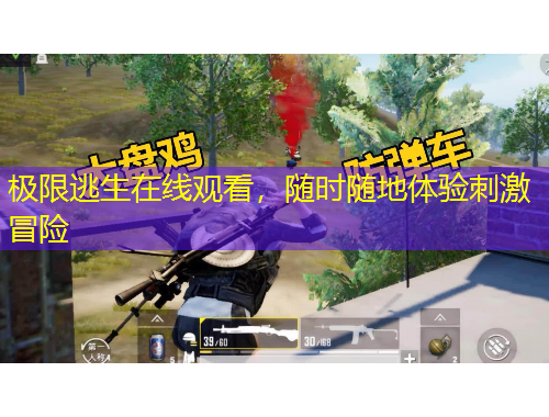 极限逃生在线观看，随时随地体验刺激冒险