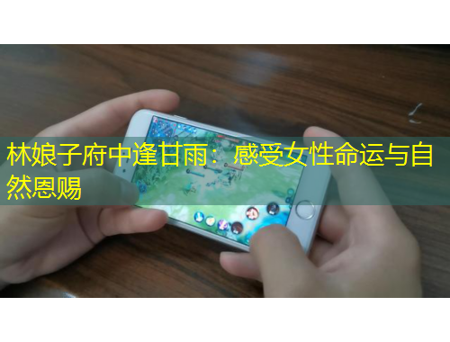 林娘子府中逢甘雨：感受女性命运与自然恩赐