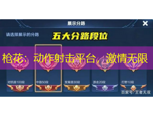 枪花：动作射击平台，激情无限