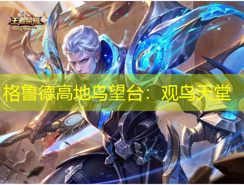 格鲁德高地鸟望台：观鸟天堂