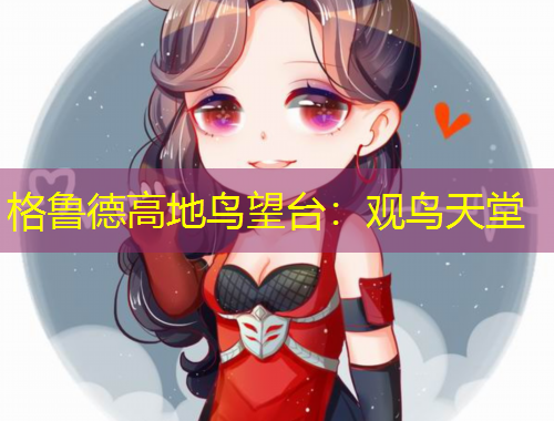 格鲁德高地鸟望台：观鸟天堂