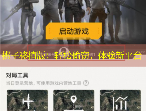 桃子移植版:轻松偷窃,体验新平台