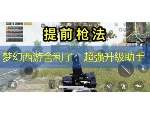 梦幻西游舍利子：超强升级助手