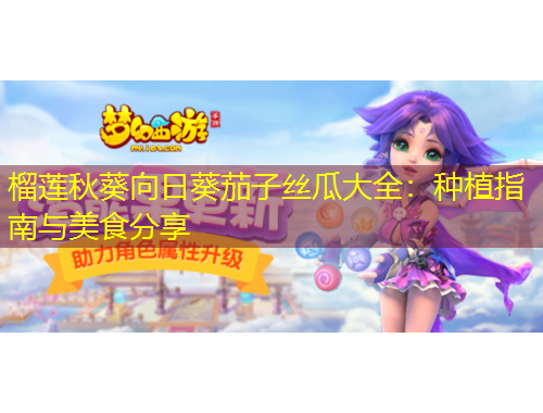 榴莲秋葵向日葵茄子丝瓜大全：种植指南与美食分享