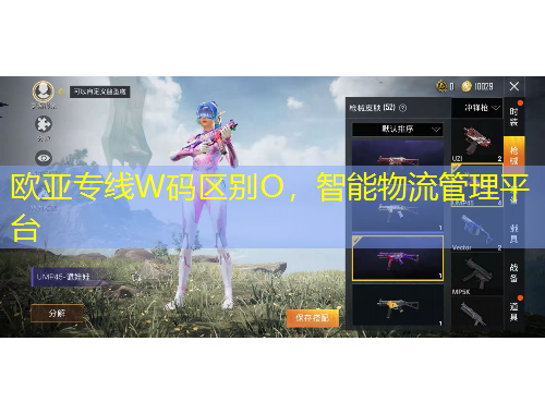 欧亚专线W码区别O，智能物流管理平台