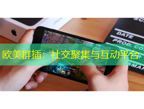 欧美群插：社交聚集与互动平台