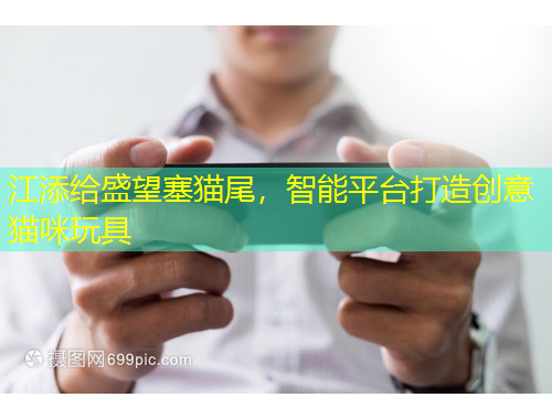 江添给盛望塞猫尾，智能平台打造创意猫咪玩具