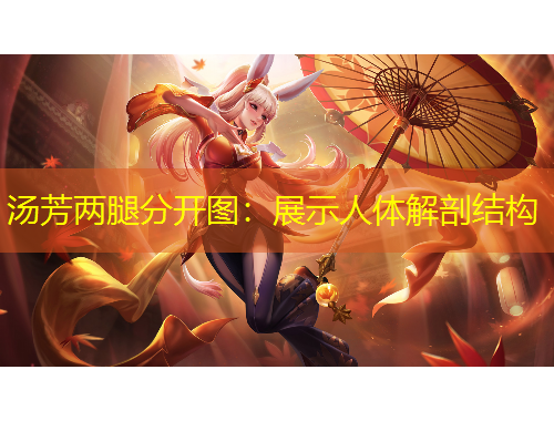汤芳两腿分开图：展示人体解剖结构