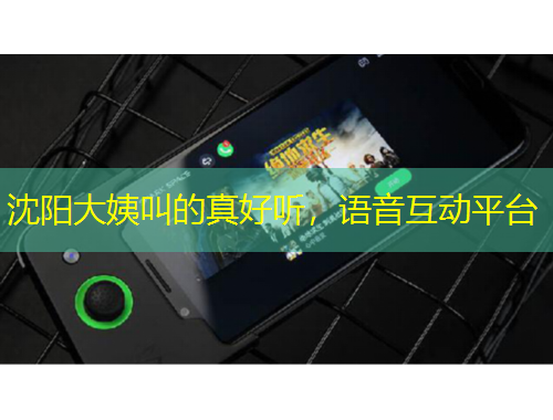 沈阳大姨叫的真好听，语音互动平台