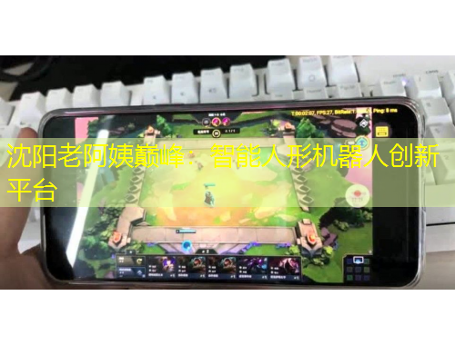沈阳老阿姨巅峰：智能人形机器人创新平台