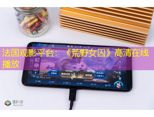 法国观影平台：《荒野女囚》高清在线播放