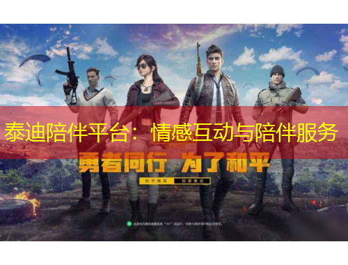 泰迪陪伴平台：情感互动与陪伴服务