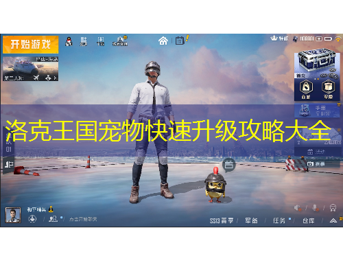 洛克王国宠物快速升级攻略大全